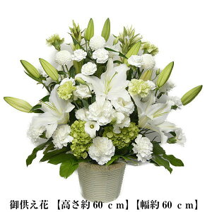  ݉ ԃAWgAy3Lz   ~ ފ 49 @ 