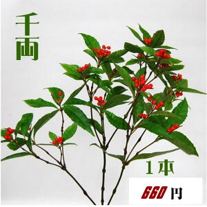 �痼���I 1�{ �}�t���������� �� �痼 �Ԕ~