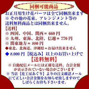 送料