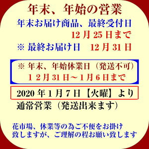 年末年始