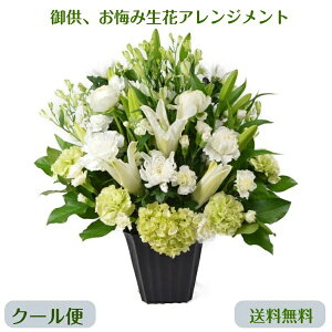 y13   AWg  AW  t[AW 蕨 @          l\ @v   O