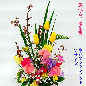 桜花
