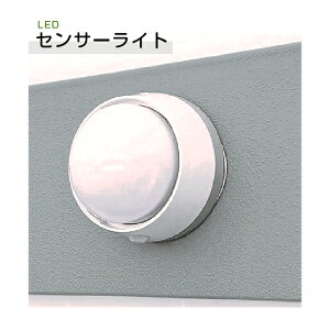 LEDZT[Cgi݃gCpj
