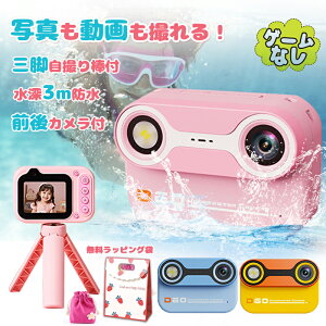 r[ŕۏ1NI_Q[Ȃ ^4800f 16GJ[ht 3Mh gCJ hJ qp J LbYJ fW^J OrB_t B A ^C}[Be USB[