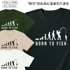 TVc ނ Y fB[X     킢 Vc