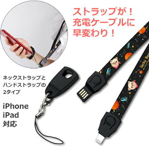 iPhone [d P[u Xgbv iPhone XS Max XR iPhoneX iPhone8 iPhone7 iPhone6s iPhone6 Plus iPhone5s iPhoneSE iPad Pro Air mini [dP[u