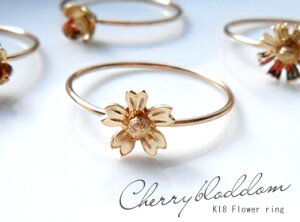 K18 S[h O u TN vyz18K 18 YG WG PG CG[S[h zCgS[h sNS[h  t  t[ Mtg v[g d˒@t@W@ؚ 2510