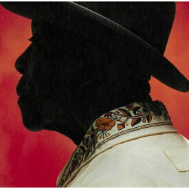 CD / バディ・ガイ / 終わりなきブルースの旅 (解説歌詞対訳付) / SICP-6709