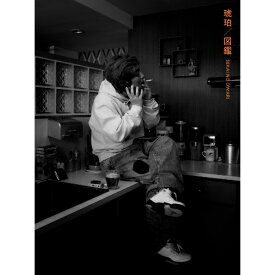 CD / SEKAI NO OWARI / 琥珀/図鑑 (CD+DVD) (初回限定盤A) / TYCT-39322