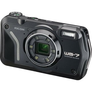 WG-7 B@2000f h ho ϏՌ fW^JR[yiEʁjz