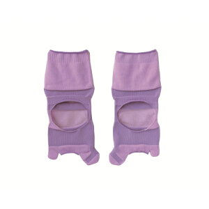 yz { ӗ₷݊OT|[^[ (M`L)ЃC_C