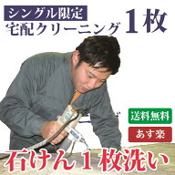 布団クリーニング 布団丸洗い シングルサイズ限定コース1枚【送料無料※一部地域除く】お引越先へお届け…