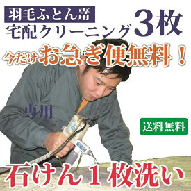 【保管サービス】 羽毛布団クリーニング 3枚セット 羽毛掛け布団専用 シングル ダブル 布団収納袋に入れてお届け 布団丸洗い【送料無料※一部地域除く】
