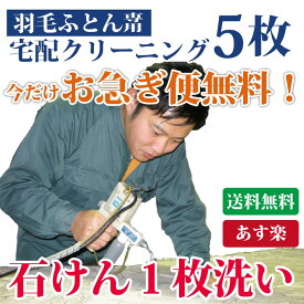 ＼お買い物マラソンP3倍27日まで／ 羽毛布団クリーニング 5枚セット 羽毛掛け布団専用 シングル ダブル 布団収納袋に入れてお届け 布団丸洗い【送料無料※一部地域除く】 まさつレスクリーニング トコジラミ対策