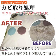 布団 カビ 布団クリーニング 布団丸洗い 布団洗濯【オプション】カビ取り 料金☆オプション単品の注文は…