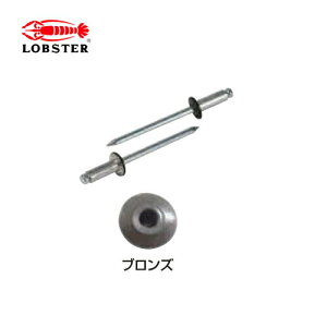 Gr/uebNX CNSA43BR J[uChxbg(ۓ)@uY@pBOX(1000{j