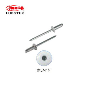 Gr/uebNX CNSA54W J[uChxbg(ۓ)@zCg@pBOX(1000{j