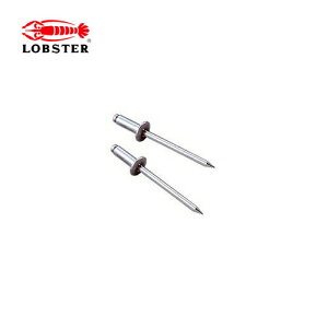 Gr/uebNX NTA34 uChxbg(ۓ)@pBOX(1000{)