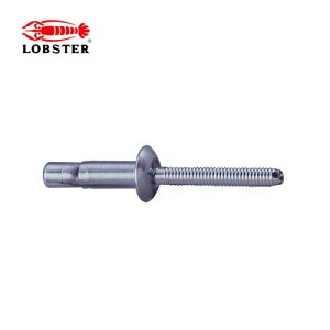 【ポイント10倍!10/30の0時〜23時59分まで】エビ/ロブテックス SNS64095EB 高力ブラインドリベット Sボルト(丸頭) エコBOX(100本入)