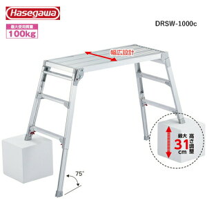 JH #17679@DRSW-1000c @L^Cv@1