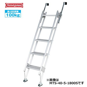 y|Cg10{I11/27()159܂ŁzJH #34624@MTS-40-2-900S ړIKi@}`Xebp[@40cm