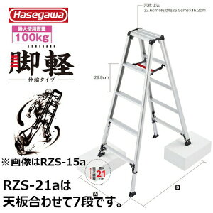 y|Cg10{I11/27()159܂ŁzJH #17770@RZS-21a pr@ryLk^Cv@Lkr