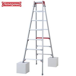 ���J��H�� #10904�@RYR-21a �͂������p�L�k�r�� �V���K�}��