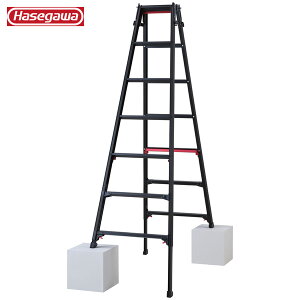 ���J��H�� #10762�@RYRB-21 �͂������p�L�k�r�� �V���K�}���u���b�N