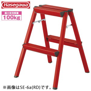 JH #17718@SE-6a(RD) @X^_[h^Cv@bh