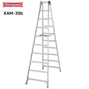 ���J��H�� #10444�@XAM-30b ��p�r���@���ڃ^�C�v