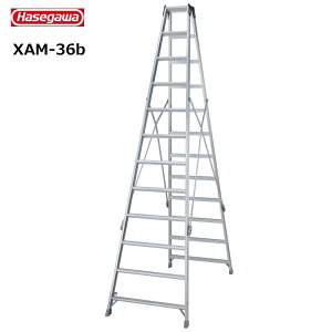 ���J��H�� #10446�@XAM-36b ��p�r���@���ڃ^�C�v