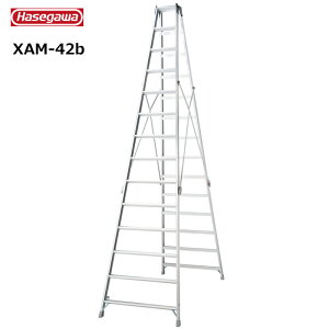 ���J��H�� #11183�@XAM-42b ��p�r���@���ڃ^�C�v