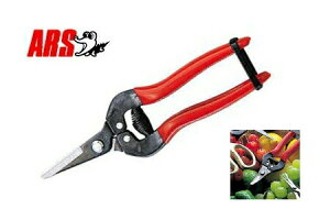 �A���X No.300S �E�����@�V���[�g�^�C�v