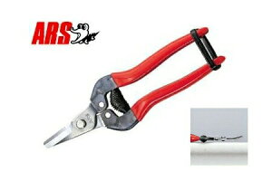 y|Cg10{I11/16()2359܂ŁzAX No.310DX ̉@XeXn