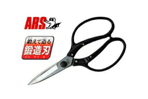 y|Cg10{I11/16()2359܂ŁzAX U-600L A@O^Cv