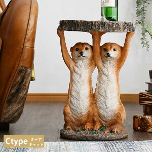 Ԓ|Cg10{ TChe[u  Aj}  \t@ 9 CeA u G |bv A 킢 52cm 50cm K[fI[ig v[g  L ~[ALb