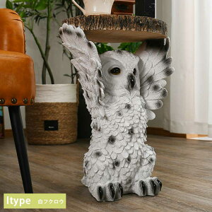 Ԓ|Cg5{ TChe[u  Aj}  \t@ 9 CeA u G |bv A 킢 52cm 50cm K[fI[ig v[g  L ~[ALb