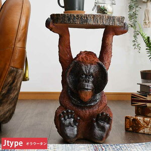 Ԓ|Cg10{ TChe[u  Aj}  \t@ 9 CeA u G |bv A 킢 52cm 50cm K[fI[ig v[g  L ~[ALb