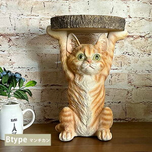 5%offN[|zz TChe[u ~je[u  Aj}  \t@ 5 CeA u G |bv A 킢 35cm K[fI[ig v[g lR ~[