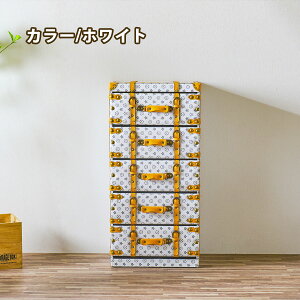 zΏۏi `FXg TCh`FXg 5i   X`FXg [ o fUC ^X 46cm 94.5cm s35cm Lrlbg Be[W JtF rO[ C