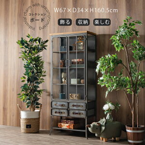 zΏۏi RNV{[h RNV 67 C_XgA  I g GCWOH Be[W AeB[N 160.5 o KX I o