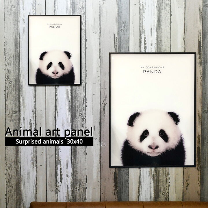 楽天市場 クーポン配布中 アートポスター アートパネル 動物 実写 写真 フレーム付き 30 40cm ポスター 壁掛け アートフレーム 絵画 額付き モダン おしゃれ シンプル 顔 パンダ インテリアスペース