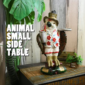 Ԓ|Cg10{ G IE u G e[u u IuWF v[g   CeA  킢 g _ AeB[N CeAG 蕨