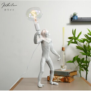 Ԓ|Cg10{ fXNCg e[uCg Ɩ CeA E26TCY T j[N Aj} _ Vv  |p I j[N ^ CeAG 蕨 v