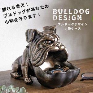 Ԓ|Cg10{  [P[X G I[ig uhbO  uY u A Aj} L[P[X  [  Ԍ ʔ j[NG CX^f