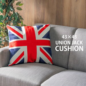 NbV 43×43cm  CMX jIWbN 傫 Q Sn悢 ӂӂ ` hJJo[ NbVJo[ lp @ tANbV v[g