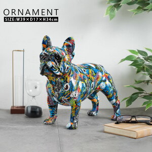 Ԓ|Cg10{ G u   AJ Vv  rO 킢 g Jt[W Jt fUC  CeAG 蕨 v[g