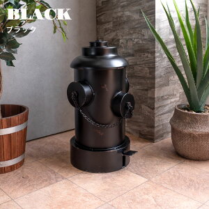 Ԓ|Cg10{ S~  Wt 6F AJ C_XgA _Xg{bNX ΐ 53 Be[W S oPc 낢 j[N AJG CG[ b