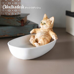 10%offN[|zz u CeAgC   L lR I[ig  u D LD gC 킢  gC g[ CeA u 