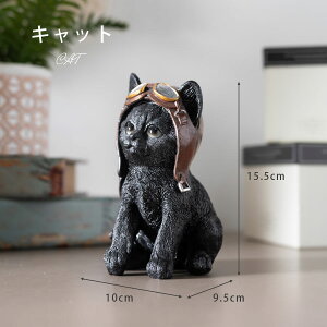  u 킢 JCC  10cm uhbO lR I[ig CeA G IuWF i  |Cg  pCbg ` Aj} 邢   F